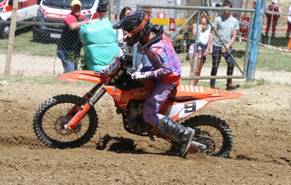 Francesco Bartalucci _d